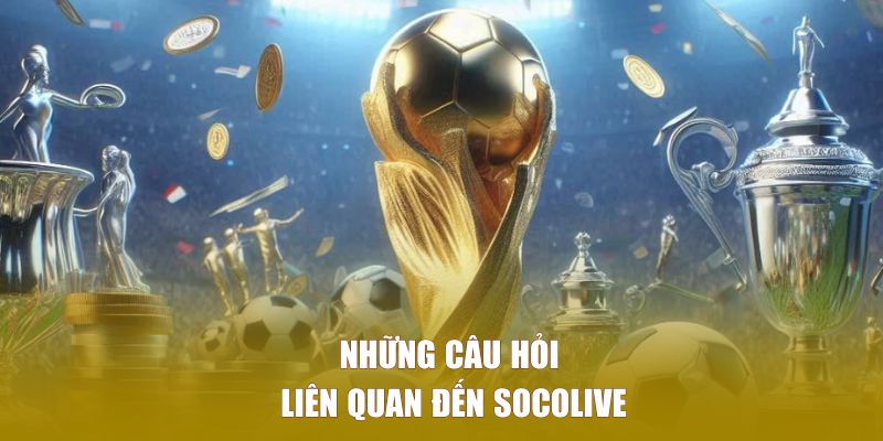 Những câu hỏi thú vị của người xem liên quan đến trang web