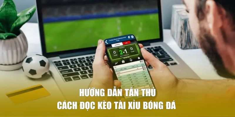 Hướng dẫn tân thủ cách đọc kèo tài xỉu bóng đá