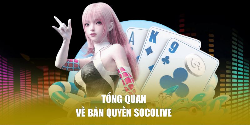 Tổng quan về bản quyền SOCOLIVE